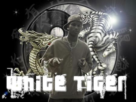 �`�.��.���`>Whiter Tiger <��`�.��.��